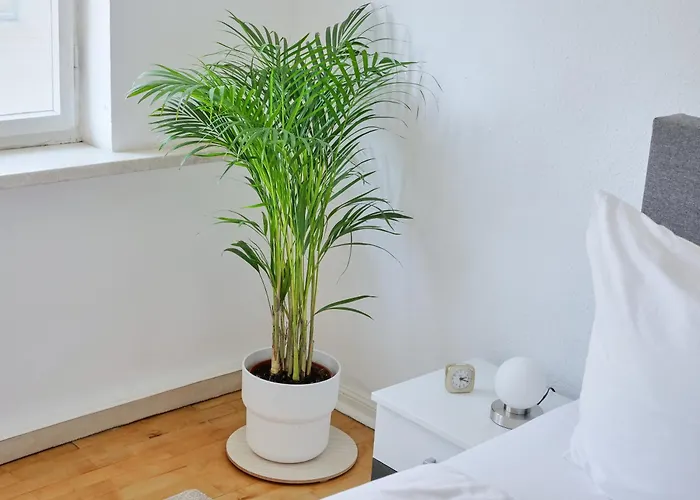 Dom Iii - Domplatz Daire Erfurt